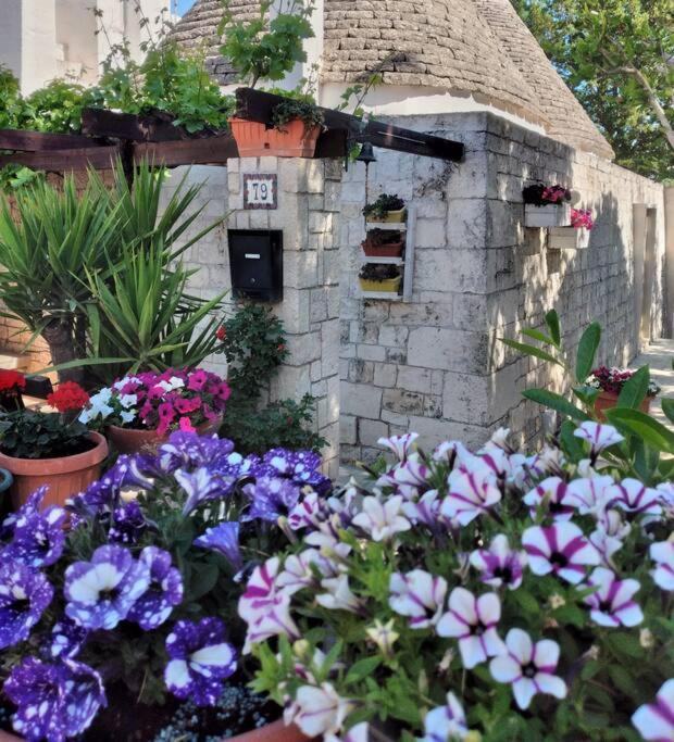 Il Trullo Felice Βίλα Locorotondo Εξωτερικό φωτογραφία