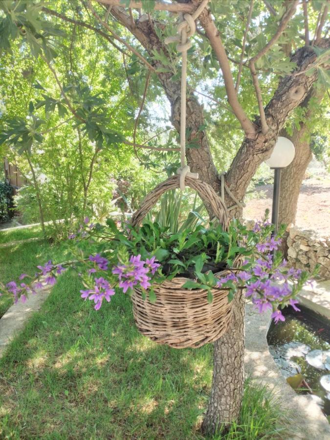 Il Trullo Felice Βίλα Locorotondo Εξωτερικό φωτογραφία