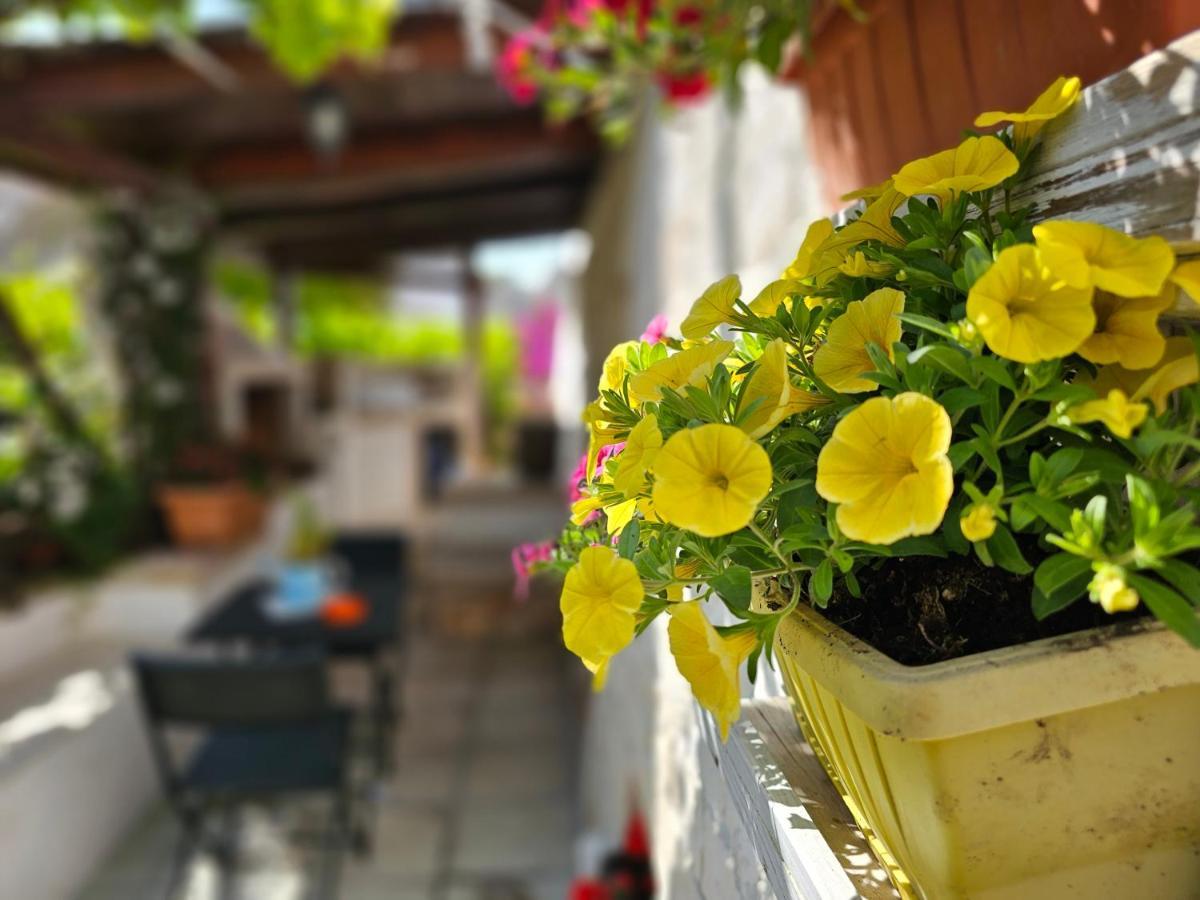 Il Trullo Felice Βίλα Locorotondo Εξωτερικό φωτογραφία